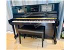 PIANO ROSENTHAL PERFECTAS CONDICIONES $55,000 \ PIANO ROSENTHAL NEGRO, DOS AÑOS DE USO, SIN DETALLES, EXCELENTE SONIDO, CON BANCA. 81-1662-6935.